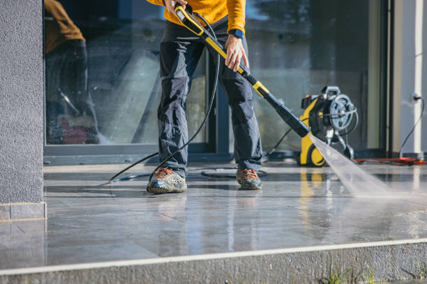 Best Solar Panel Cleaning  in West Park, FL